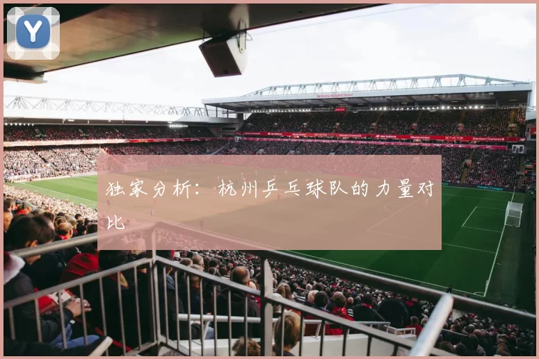 独家分析：杭州乒乓球队的力量对比