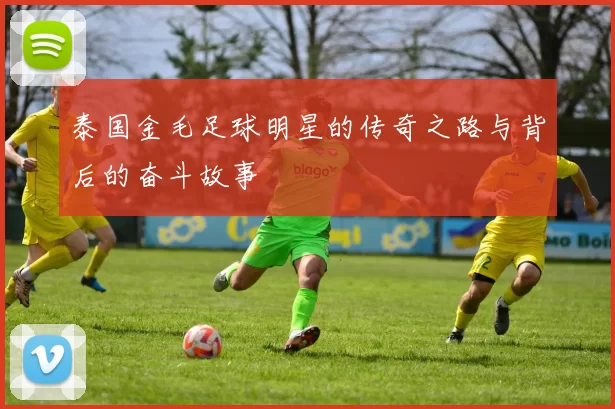 泰国金毛足球明星的传奇之路与背后的奋斗故事