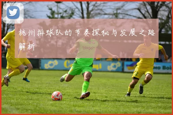 杭州排球队的节奏探秘与发展之路解析