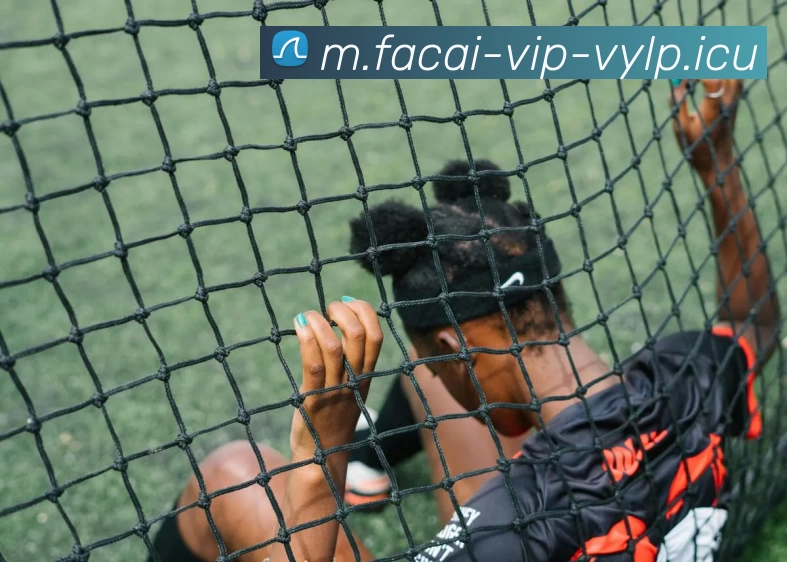 米兰体育平台生态图